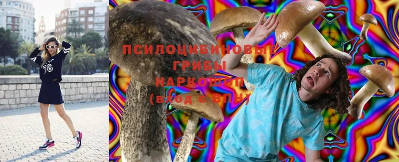 Галлюциногенные грибы Magic Shrooms  Завитинск 